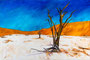 Dead Vlei (120x80)