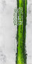 Free Fall (60x120)