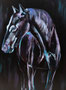 Horse in black (60x80)