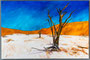 Dead Vlei (120x80)