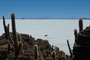 Bolivien. Im Südwesten Boliviens, auf mehr als 3600 Metern Höhe, liegt der Salar de Uyuni, der größte Salzsee unserer Erde. Inmitten dieses weißen Meeres erhebt sich wie eine Fata Morgana die Insel Incahuasi mit ihren riesigen Kakteen.