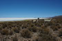 Bolivien. Im Südwesten Boliviens, auf mehr als 3600 Metern Höhe, liegt der Salar de Uyuni, der größte Salzsee unserer Erde. Über 140 km lang und 110 km breit erstreckt sich dieses weiße Wunder der Natur mit seiner fast 10 m dicken Salzkruste.