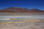 Bolivien. Das landschaftlich einmalige Lagunengebiet auf über 4.000 m Höhe. Die Laguna Hedionda mit hunderten Flamingos. 