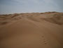 Oman. In der Sandwüste Wahiba Sands. Die feinsandigen Dünen der Wahiba Sands reichen von der Grenze zu Saudi-Arabien bis an den Indischen Ozean.