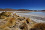 Bolivien. Das landschaftlich einmalige Lagunengebiet auf über 4.000 m Höhe. Die Laguna Honda. 