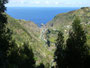Madeira. Das immergrüne Wanderparadies.