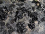 Grönland. Arktische Flora. Flechten sind die Erstbesiedler auf den kahlen Felsen und bereiten den Weg für nachfolgende Pflanzen.