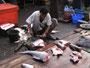 Myanmar. Die Stadt Sittwe. Marktbesuch.