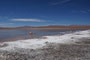 Bolivien. Das landschaftlich einmalige Lagunengebiet auf über 4.000 m Höhe. Die Laguna Kolpa. 