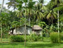 Papua Neuguinea. Provinz East Sepik. Dorfbesuch am Sepik-Fluss.