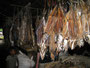 Myanmar. Die Stadt Sittwe. Marktbesuch. Trockenfisch.