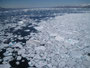 Grönland. Hubschrauberflug von Tasiilaq nach Kulusuk über das Eismeer.