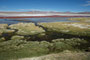 Bolivien. Die Laguna Colorada liegt auf 4.300 m Höhe und ist wegen der auffälligen roten Farbe einzigartig. Die Rotfärbung entsteht durch Mineralien und eine ganz besondere Algenart.