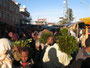 Expedition Danakil-Wüste. Auf dem Khat-Markt von Awedae. Khat ist die Volksdroge in Äthiopien. Nur die frischen Blätter wirken berauschend beim Kauen. Die Wirkung hält etwa zwei Stunden an.