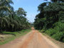 Liberia. Fahrt durch den liberianischen Dschungel nach Gbarnga.