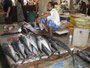 Oman. In der Stadt Sur. Der große Fischmarkt lockt jeden Morgen zahlreiche Besucher an.