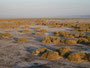 Djibouti. Der Abbe-See ist ein teilweise ausgetrockneter Salzsee. Dieses Gebiet ist der Mittelpunkt der Afar-Senke und gilt als eine der unzugänglichsten und unwirklichsten Gegenden der Erde.