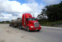 Mexico. Mit riesigen Kenworth-Trucks werden die Güter innerhalb des Landes transportiert.