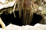 Mexico. Ganz Yucatán ist von einem unterirdischen Labyrinth aus Kalksteinhöhlen durchzogen. Für die Maya waren die Cenoten "heilige Quellen" und vor allem der Eingang zur Unterwelt. Heute kann man in den Süßwasserhöhlen phantastisch baden.