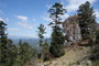 Mexico. Wanderung auf etwa 3.000 m Höhe in der Sierra de Oaxaca. 