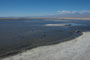 Chile. Mitten im Salar de Atacama liegt die Chaxa Lagune, die aus verschiedenen unterirdischen Wasseradern gespeist wird. Hier findet man zahlreiche Flamingos.