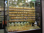 Vereinigte Arabische Emirate. Dubai. Der Gold-Souk. Hier gibt es Gold in Hülle und Fülle.
