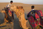Indien. Jaisalmer. Ausflug in die Thar-Wüste. Diese Sandwüste befindet sich im nordwestlichen Teil Indiens und reicht in ihrer Ausdehnung bis nach Punjab in Pakistan.
