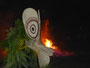Papua Neuguinea. Bergdorf Baining. Hier beginnen die Dorfbewohner in der Nacht mit dem spektakulären Feuertanz.