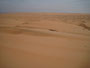 Oman. In der Sandwüste Wahiba Sands. Die feinsandigen Dünen der Wahiba Sands reichen von der Grenze zu Saudi-Arabien bis an den Indischen Ozean.