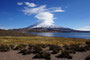 Chile. Im Lauca-Nationalpark. Der Lago Chungara´ liegt auf 4.500 m Höhe und ist somit einer der höchstgelegenen Seen unserer Erde. Dahinter erhebt sich majestätisch bis auf 6348 m Höhe der Vulkan Parinacota.