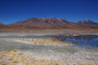 Bolivien. Das landschaftlich einmalige Lagunengebiet auf über 4.000 m Höhe. Die Laguna Hedionda mit hunderten Flamingos. 