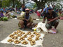 Papua Neuguinea. Provinz Eastern Highlands. Marktbesuch im Hochland.