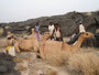 Expedition Danakil-Wüste. Trekking durch die Danakil-Wüste bei über 50°C im nicht vorhandenen Schatten. Lagerplatz im Lavafeld des Erta Ale-Vulkans.