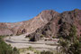 Bolivien. Das Tal von Tupiza.