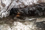 Süditalien. Sizilien. Der Ätna ist mit einer Höhe von ca. 3.350 m Europas mächtigster Vulkan. In den Lavafeldern finden sich Hohlräume und Höhlen, die durch Lufteinschlüsse in der heißen Lava entstanden sind. Die Erkundung ist ein einzigartiges Abenteuer.