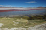 Bolivien. Die Laguna Colorada liegt auf 4.300 m Höhe und ist wegen der auffälligen roten Farbe einzigartig. Die Rotfärbung entsteht durch Mineralien und eine ganz besondere Algenart.