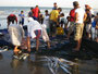 Oman. Am Strand der Küstenstadt Sohar. Einheimische beim traditionellen Fischfang.