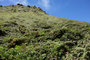 Karibikinsel Martinique. Der Mont Pelé ist mit 1397 m der höchste Berg von Martinique. Die Wanderung auf den Gipfel des Vulkans dauert ca. 6 Stunden und ist aufgrund des steilen und unwegsamen Geländes äußerst anspruchsvoll.