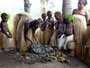 Vanuatu. In den entlegenen Dörfern leben die Menschen noch ganz traditionell. Hier wird das Nationalgericht Laplap hergestellt. Laplap ist ein Brei aus Yams-oder Tarowurzeln, vermischt mit Kokosfleisch.