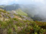 Madeira. Wanderung zum Pico Ruivo. Mit 1.862 m der höchste Berg von Madeira.