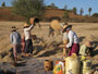 Myanmar. Fahrt nach Pindaya. Getreideernte.