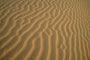 Indien. Jaisalmer. Ausflug in die Thar-Wüste. Diese Sandwüste befindet sich im nordwestlichen Teil Indiens und reicht in ihrer Ausdehnung bis nach Punjab in Pakistan.