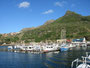 Südafrika. Bootsausflug in der Hout Bay. 