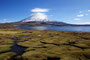 Chile. Im Lauca-Nationalpark. Der Lago Chungara´ liegt auf 4.500 m Höhe und ist somit einer der höchstgelegenen Seen unserer Erde. Dahinter erhebt sich majestätisch bis auf 6348 m Höhe der Vulkan Parinacota.