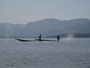 Myanmar. Der Inle-See. Hier ist die Heimat der Inthas, der "Söhne des Sees". Weltbekannt sind die Einbeinruderer. Eine Hand bleibt durch diese besondere Rudermethode immer frei zum Fischen.