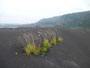 Papua Neuguinea. Provinz East New Britain. Der Vulkan Mt. Tavurvur begrub im Jahre 1994 die Stadt Rabaul unter seiner gewaltigen Aschewolke. Rabaul liegt seitdem unter einer meterhohen Ascheschicht. Heute befindet sich der Vulkan im Dornröschenschlaf.