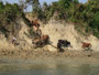 Myanmar. Bootsfahrt zum Volk der Chin.
