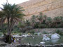 Oman. Im Wadi Bani Khalid. Dieses Wadi ist eines der wenigen im Oman, welches ständig Wasser führt.