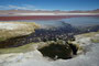 Bolivien. Die Laguna Colorada liegt auf 4.300 m Höhe und ist wegen der auffälligen roten Farbe einzigartig. Die Rotfärbung entsteht durch Mineralien und eine ganz besondere Algenart.