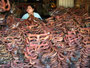 Myanmar. Fahrt nach Kyaiktiyo. Auf dem Fischmarkt.